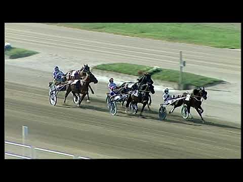 Napoli Trotto 03/09/2021 - 5ª corsa