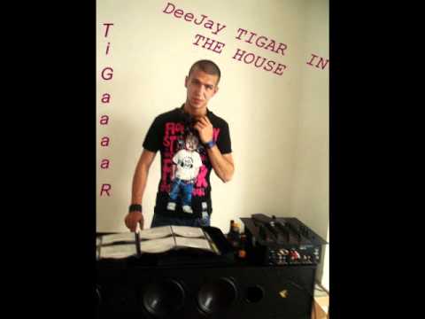 DeeJay Tigar feat Srecko Savovic - Ludnica
