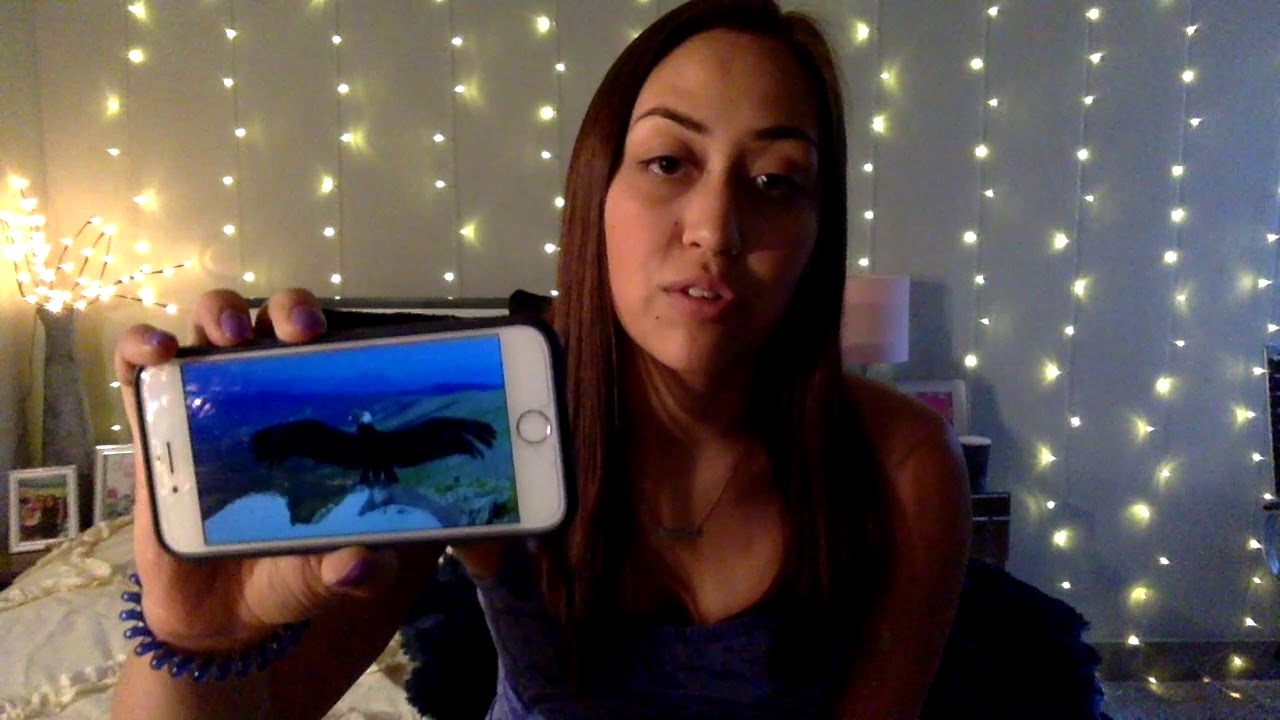 Oral Presentation: Perú