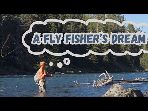 Play video on YouTube