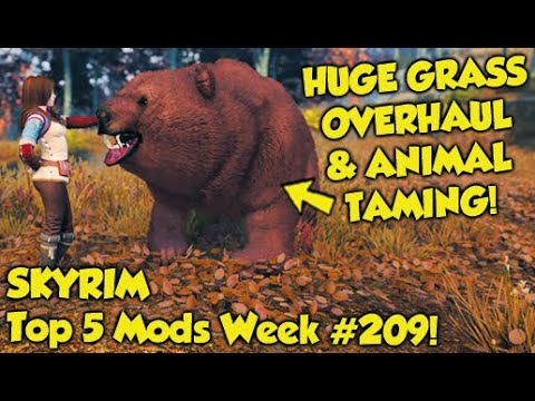 Skyrim Top 5 Mods of the Week #209 (Xbox Mods)