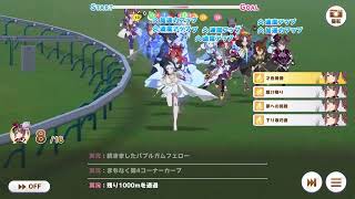第百回デイリー凱旋門賞　2025/11/09 曇 良バ場