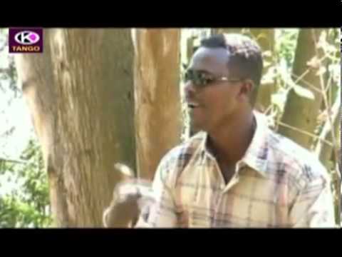 Fayyisaa Furii   Intala Booranaa (Oromo Music)
