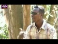 Fayyisaa Furii Intala Booranaa Oromo Music