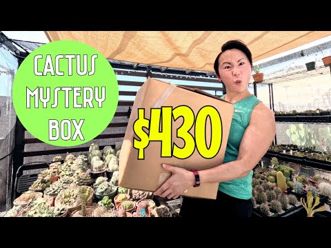 Unboxing a $430 Cactus Mystery Box (Rare & Unusual Plants!)