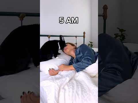 Sleeping with a bunny!!