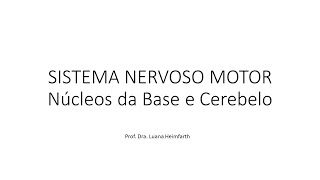 Módulo 1  Aula 8 b   Sistema Nervoso Motor   Cerebelo e Núcleos da Base 2