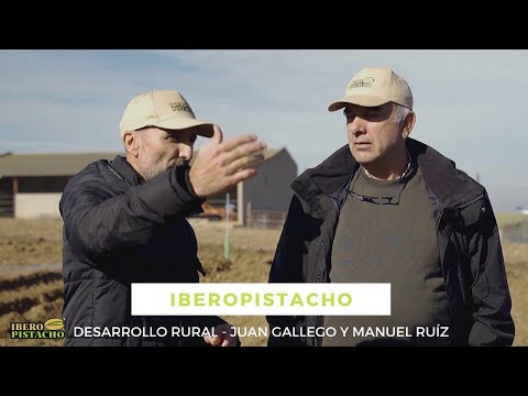 , title : 'El cultivo del pistacho - Medio rural - España vaciada - Entrevista a Manuel Ruíz - IberoPistacho'