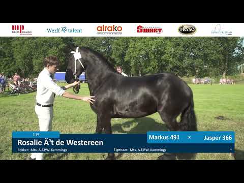 Fokdag | Ta it Bihâld | 20 juli 2024