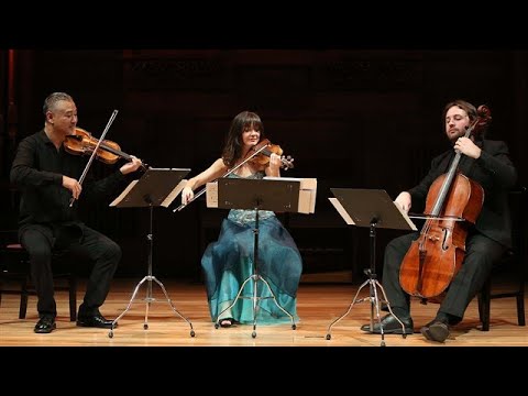 Boccherini: Trio in C major Op. 35 nº 5, G 105