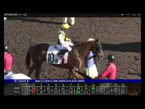 2020 12 26 沙田 第六場 莫雷拉 兩全其美