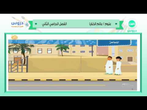 الاول المتوسط | الفصل الدراسي الثاني 1438| علوم | عالم الخلايا