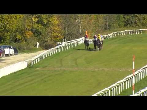 2015.10.14 Norsk Oaks - Ikc Moneypenny