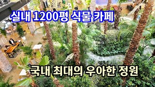 실내 1200평 식물 카페 , 국내 최대의  우아한 정원