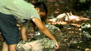 Picirruket - Cjapi Ne Mal