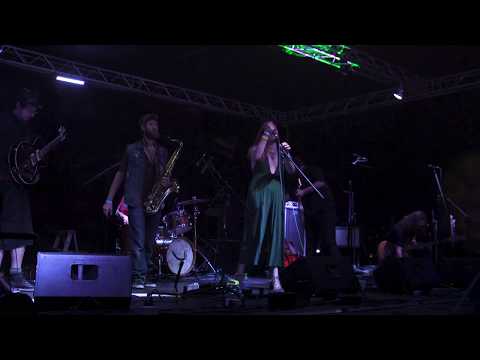 Darlingtyn - Woodstock Boogie [Canned Heat cover] - DamStock Music Fest - Austin, PA - 2019.8.22