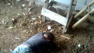 Download lagu Anak kecil kesurupan mau lagu bangbung hideung mp3