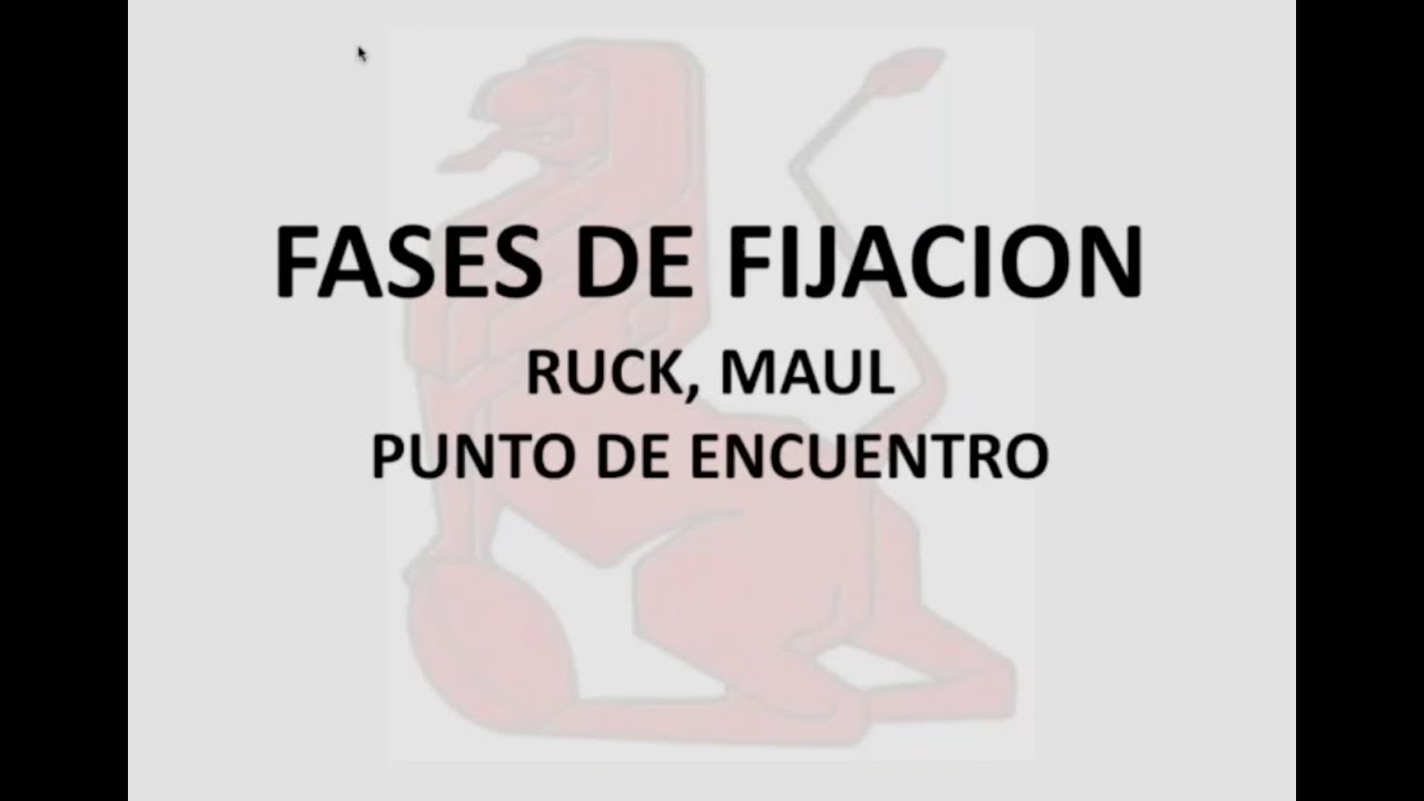 Fase de fijación del Juego: Ruck y Maul.