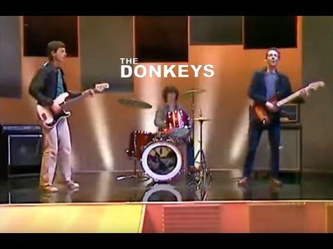 The Donkeys - Listen To Your Radio (Video)