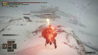 [法環]你以為法術做壞了嗎？盾牌才做壞好嗎！