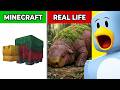 Minecraft VS REAL LIFE! (Blocks, Items, Mobs)
