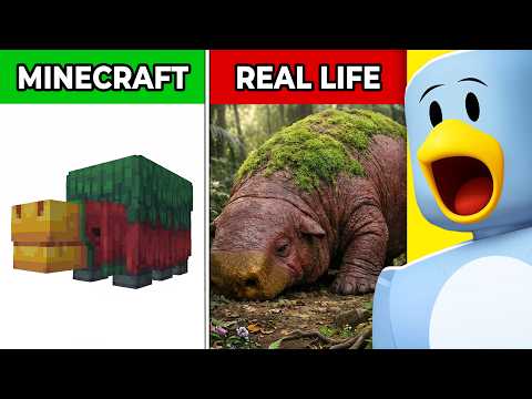 Minecraft VS REAL LIFE! (Blocks, Items, Mobs)