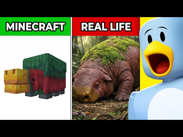Minecraft VS REAL LIFE! (Blocks, Items, Mobs)