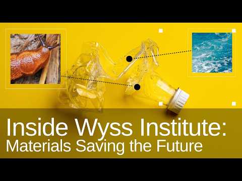 Inside the Wyss Institute at Harvard