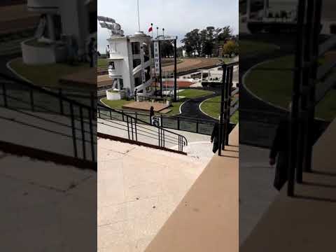 Videos. Volvió el turf al hipódromo platense y ya sonó la primera campana de largada
