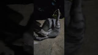 Download lagu ' Katola Uy 😎👀😉!?,,,Mao Na Iyang Ingon mp3 Download lagu ' Katola Uy 😎👀😉!?,,,Mao Na Iyang Ingon mp3