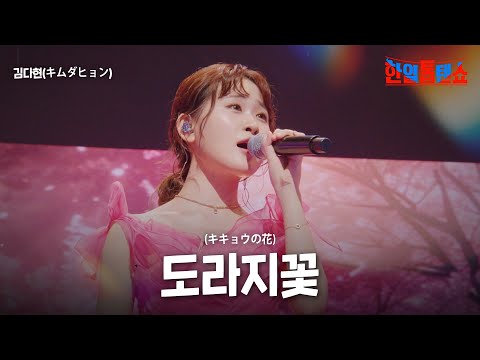 김다현(キムダヒョン) - 도라지꽃(キキョウの花)｜한일톱텐쇼 34회
