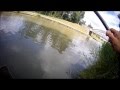 Pole Feeder Au Canal Latéral