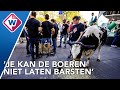 Boeren protesteren met koeien bij Tweede Kamer - OMROEP WEST