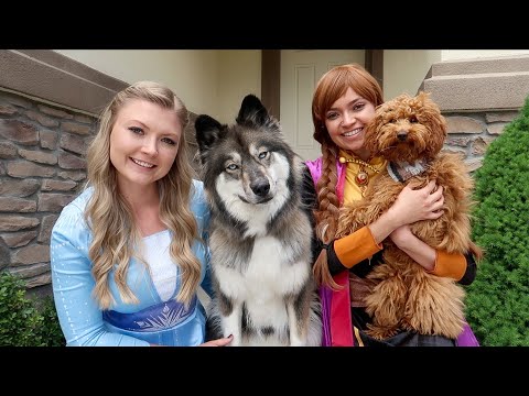 Princess Anna Surprises Elsa & Kakoa with Puppy Play Date!