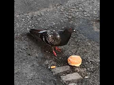 Groovy D & Interplanetary Criminal - Tease Me UKG