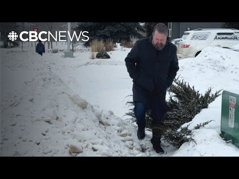 Some Edmonton residents are blaming the city for blocked sidewalks