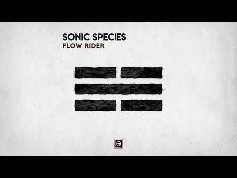 Sonic Species - Flow Rider