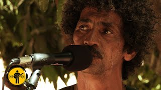 Tinariwen | Le Chant des Fauves (Remastered) | Live Outside | Playing For Change