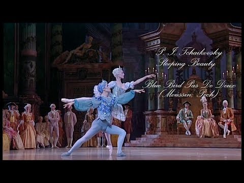 Sleeping Beauty - Blue Bird Pas de Deux (Moussin, Pech)