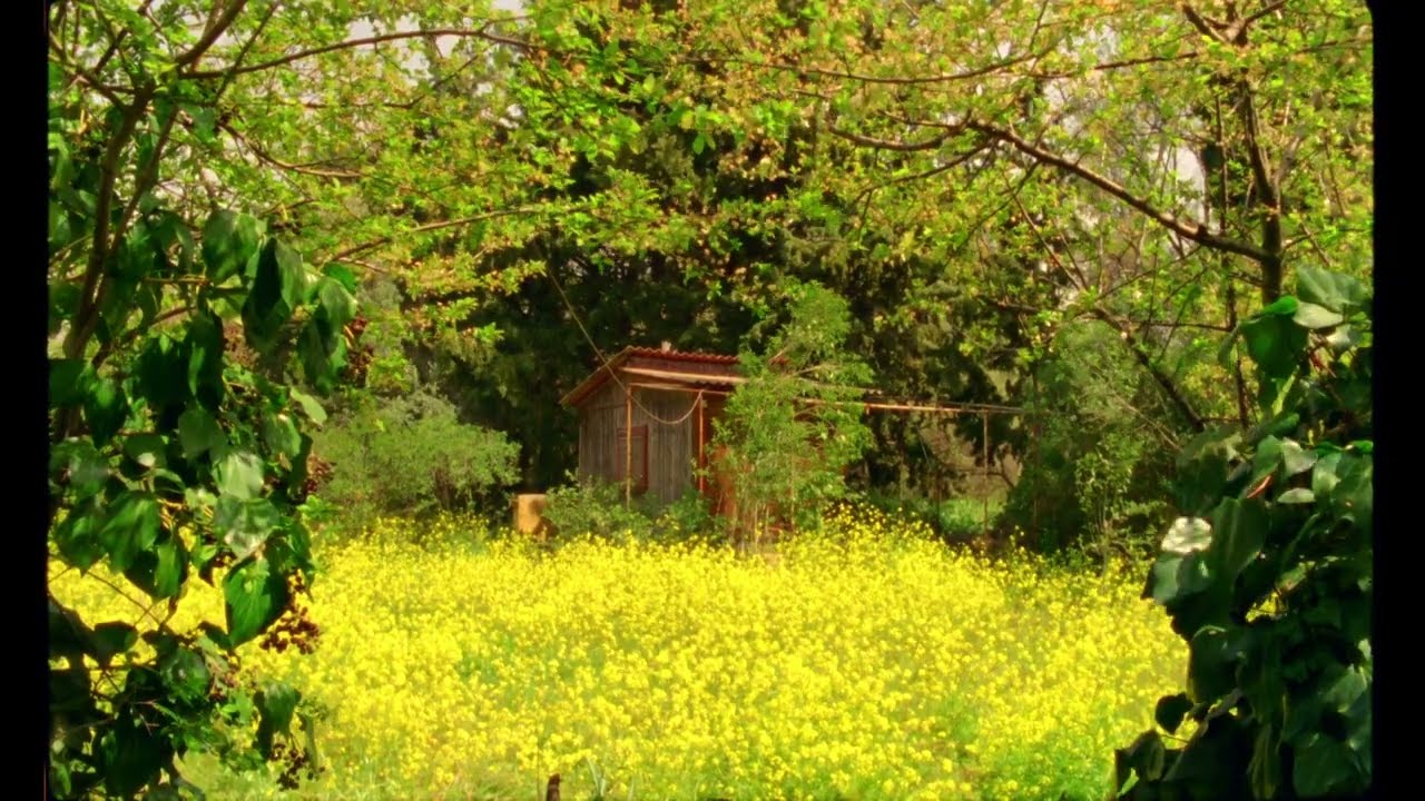 Trailer ΠΟΛΥΔΡΟΣΟ