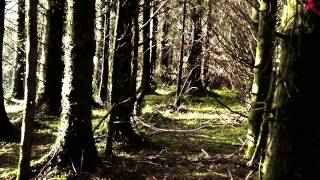 Mountain biking in county Cavan Ireland