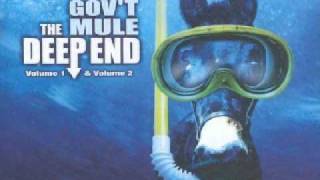 Gov&#39;t Mule - Worried Down With The Blues - The Deep End Vol. 1