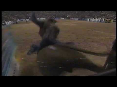 Red Wolf bucks Paulo Crimber - 98 PBR Finals