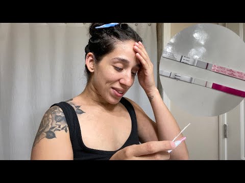Bellabeat Com 12 Dpo