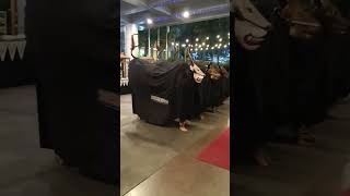 Download lagu THELON BUDOYO LIVE HOTEL SWISS BELINN MALANG🔥 #kesenianbantengan #bantengan #thelonbudoyo mp3