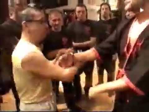 2nd section Biu Tze Chi Sao GM Leung Ting