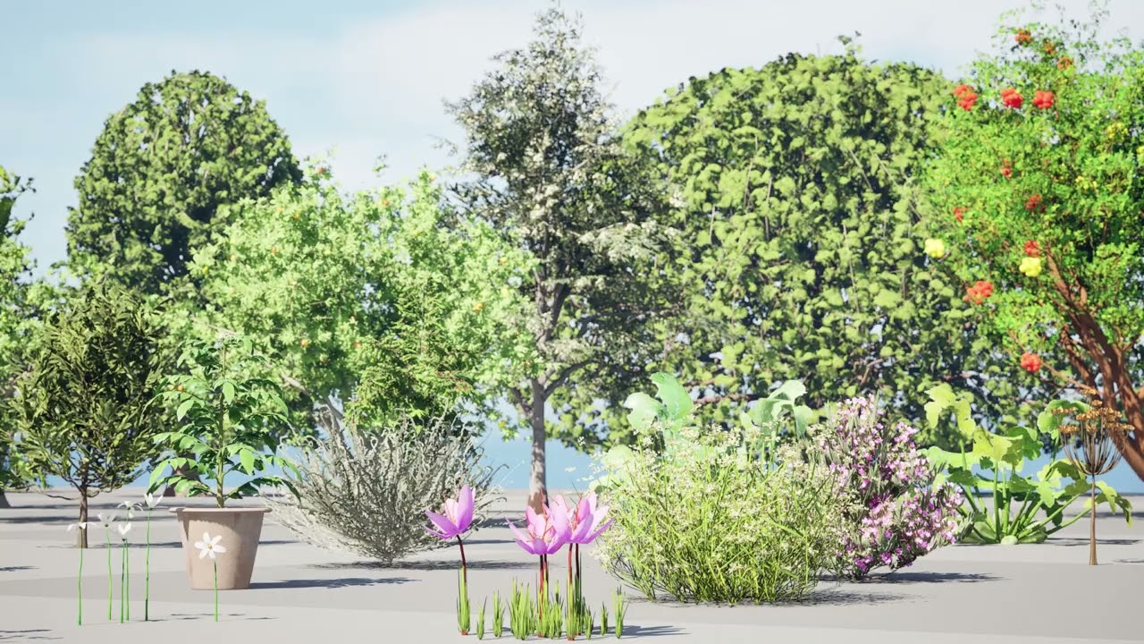 Mega paquete de &aacute;rboles de flora marroqu&iacute; Modelo 3D