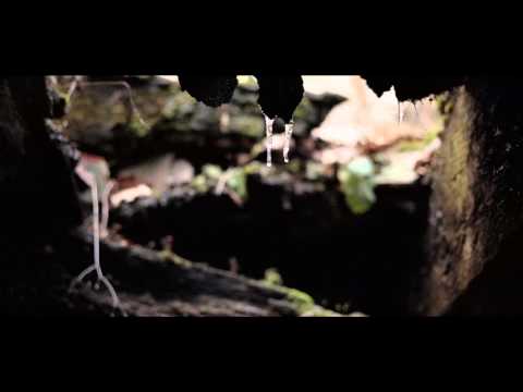 "Within The Woods" by Harry Fisher - Four4 Horror Short Film Competition 2013