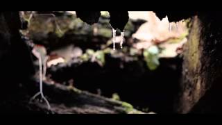 "Within The Woods" by Harry Fisher - Four4 Horror Short Film Competition 2013