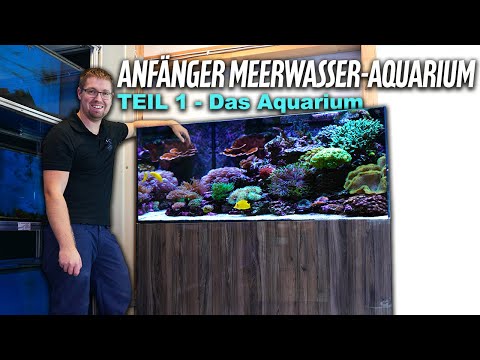Beginner's Saltwater Aquarium (Part 1) - PlanktonPlus Aquatics